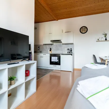 Well-equipped And Business-friendly Near For Up To 3 Guests Apartment Leoben (Styria)