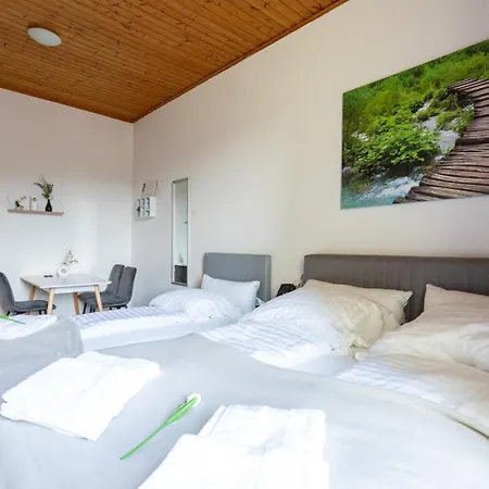 Well-equipped And Business-friendly Near For Up To 3 Guests Leoben (Styria)