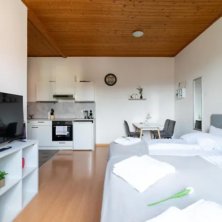 Well-equipped And Business-friendly Near For Up To 3 Guests Leoben (Styria)